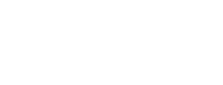 stylein_logotype