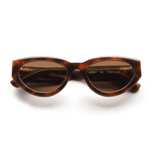 chimi-06-tortoise-front1