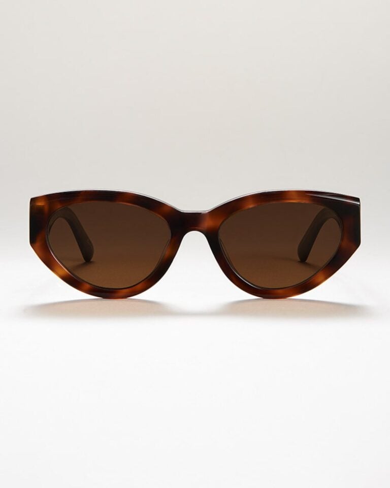 chimi-06-tortoise-front2