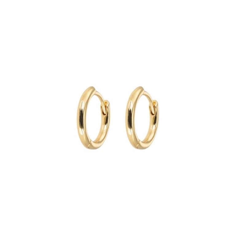 8066_1emiliasmallgoldhoops2pcs