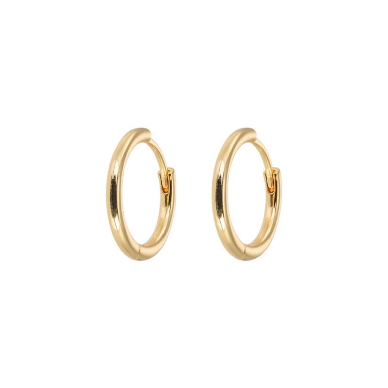 8143_1emiliamediumgoldhoops2pcs
