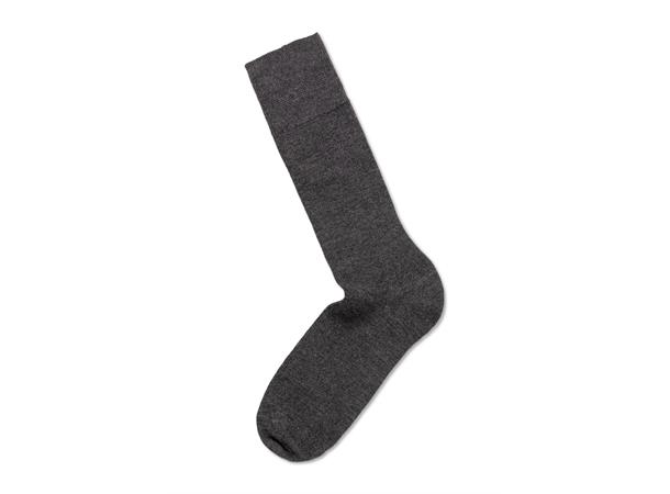 web_image_pe_2pk_calle_premium_mercerized_wool_rib_peml214_181_2164067525_plid_558515
