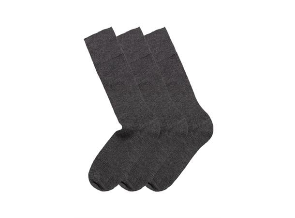 web_image_pe_2pk_calle_premium_mercerized_wool_rib_peml214-181-3pk_web-1227741715_plid_558515