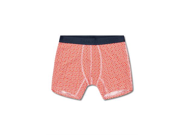 web_image_panos_emporio_5pk_bamboo_boxer_seasonal__5pk_base_bamboo_boxer_265_meandercoral_1-356459641_plid_568203