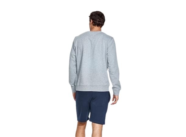 web_image_panos_emporio_element_sweater_grey_melan_pema607-151-1-1700781890_plid_543570