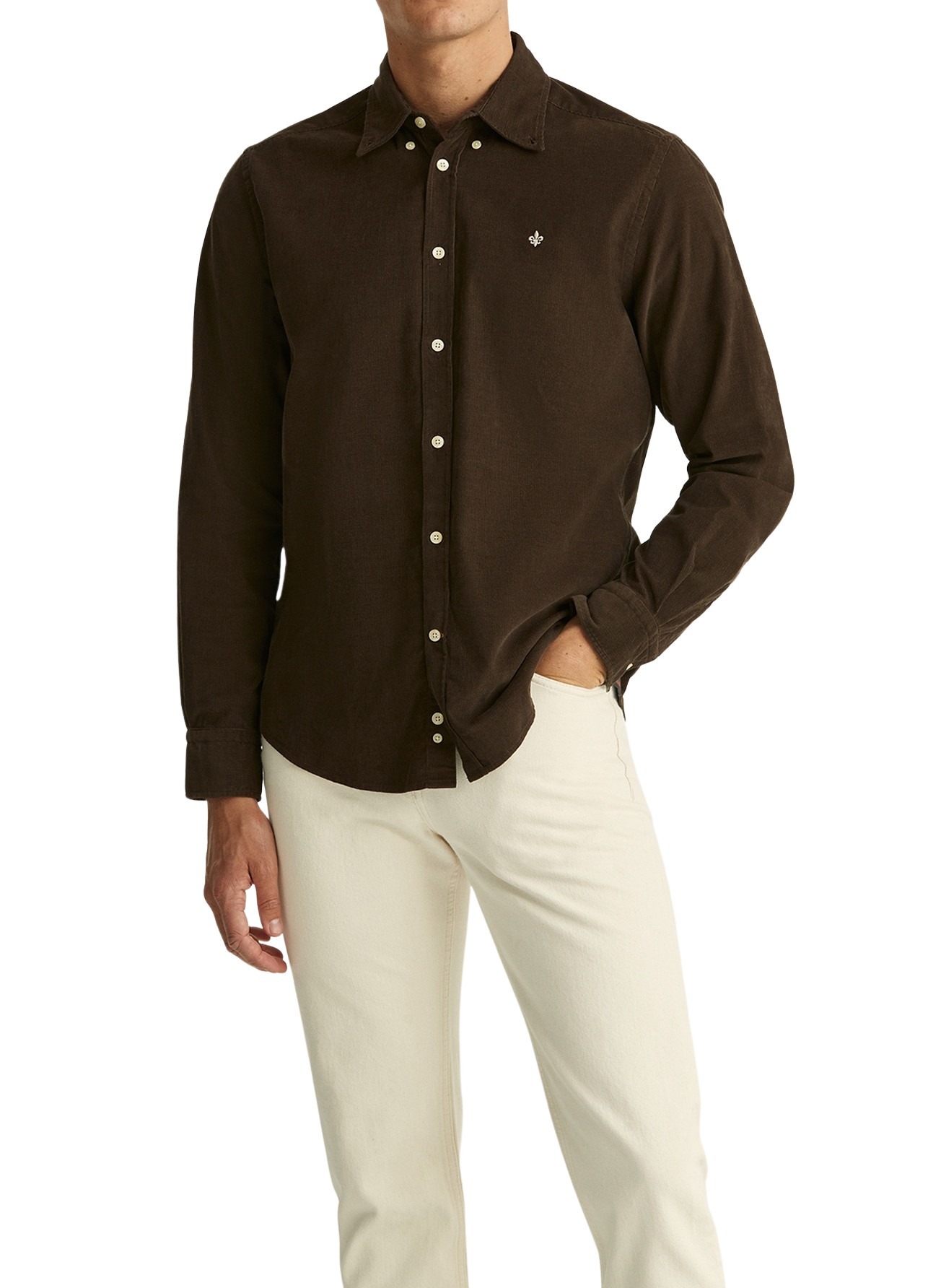 801576-douglas-cord-bd-80-brown-1