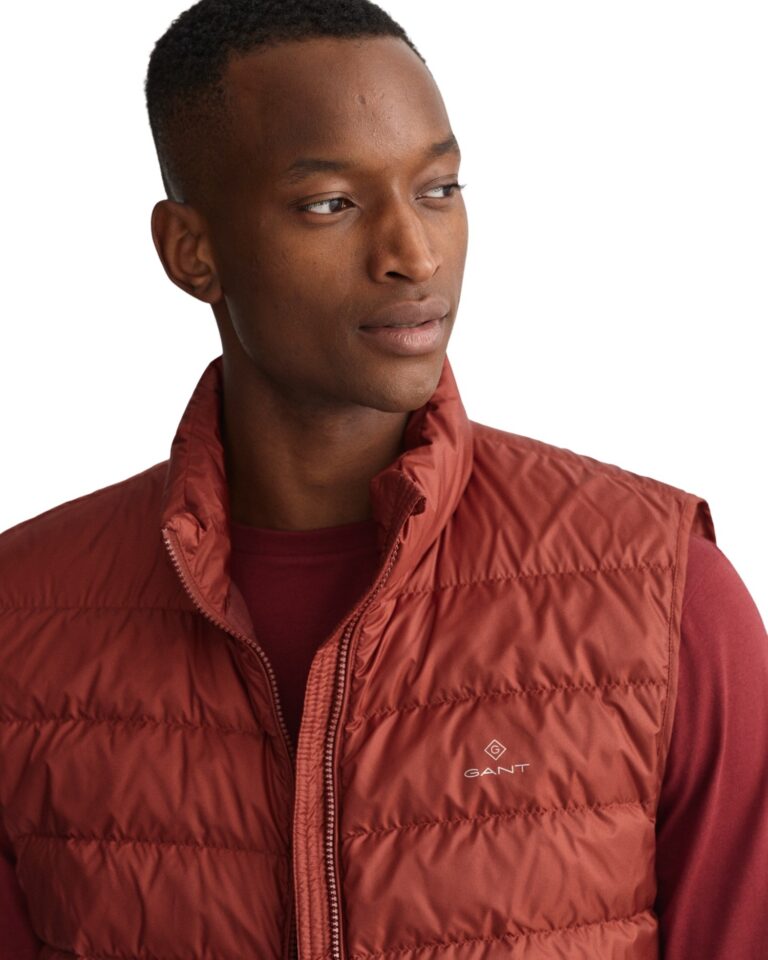 0015532_light-down-gilet