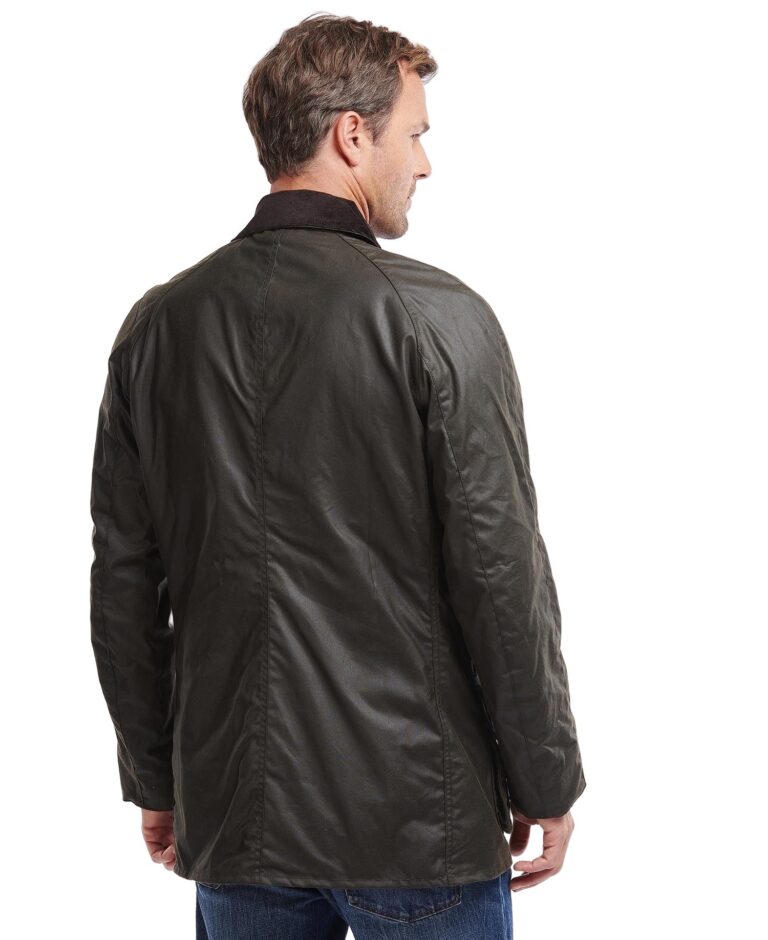 mwx0086ol71_carryforward_back_model_2