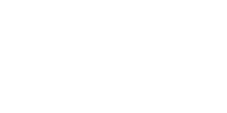 brunelli-logo