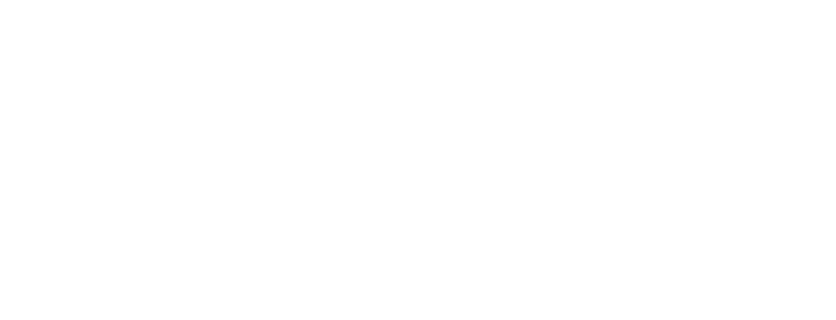 stylein_logotype