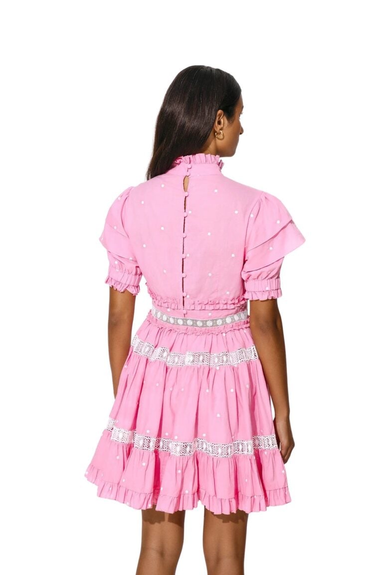 1354_632bf5209f-iro-mini-dress-blush-pink-by-malina-2-big