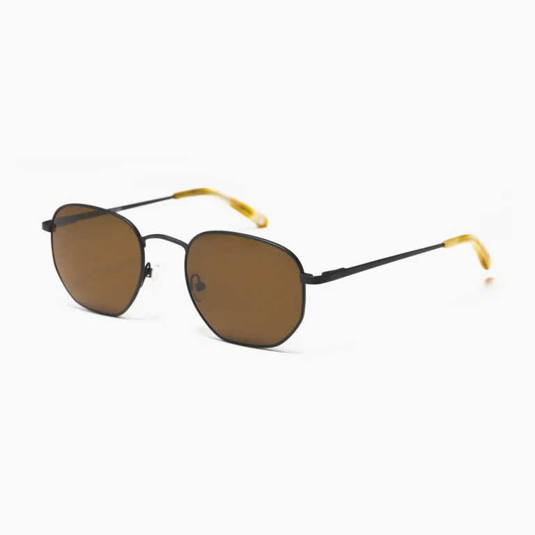 Devine-Sunglasses-FW1027-2