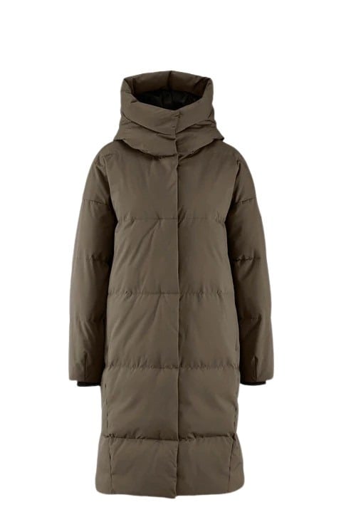 6015_swell_major_brown_01