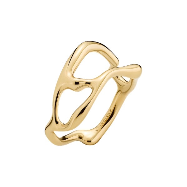 5452_7095bf3b22-iris-ring_gold-original