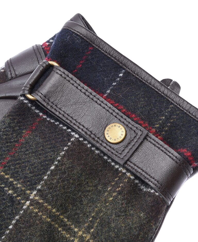 mgl0051tn11_carryforward_detailb_1