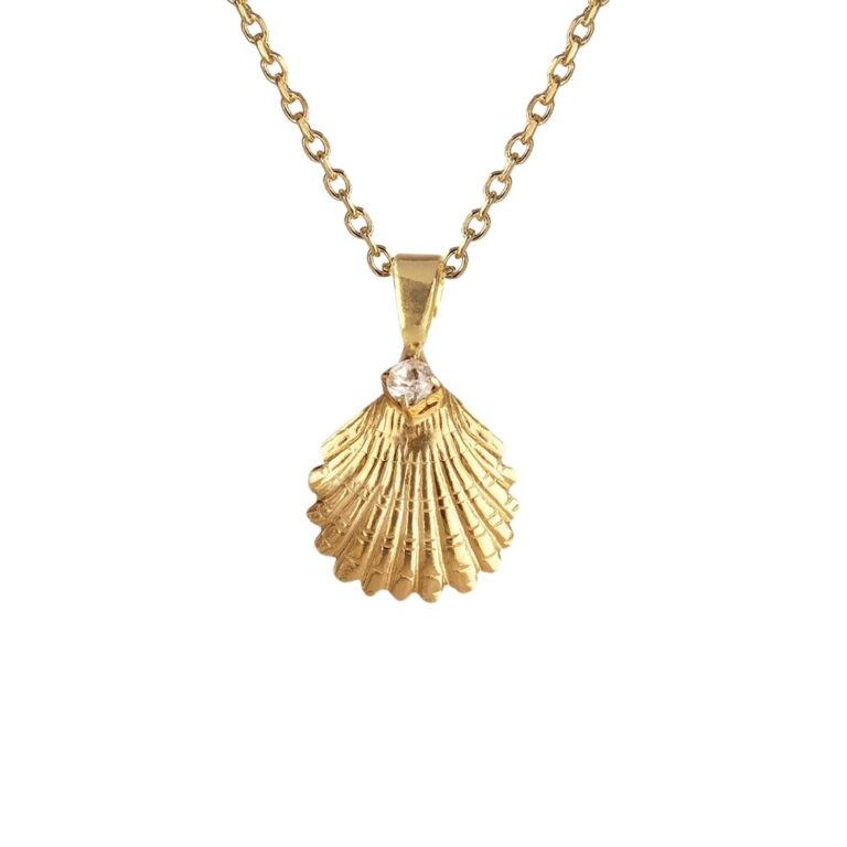 5925546_shell-necklace-crystal