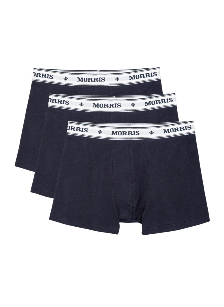 090003-morris-boxer-brief-3-pack-59-old-blue-2