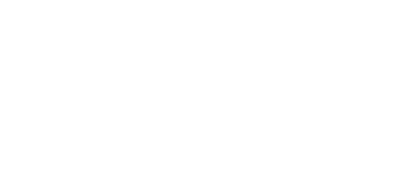 blundstone-logo