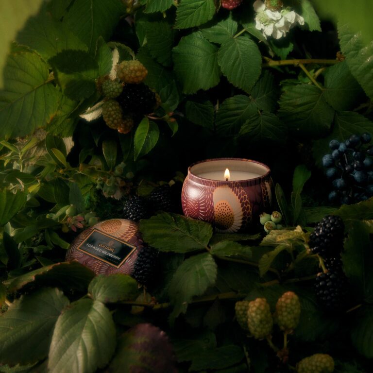 foragedwildberry_ing_minitin_72139_2024_01_a_web