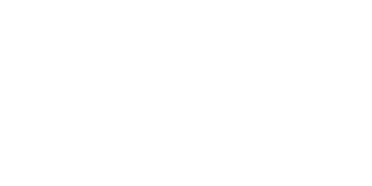 s-max-mara