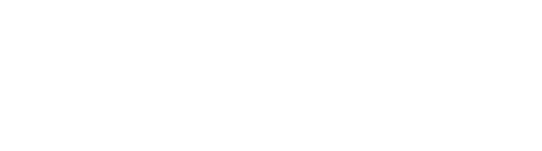 se-logo-20th-anniversary