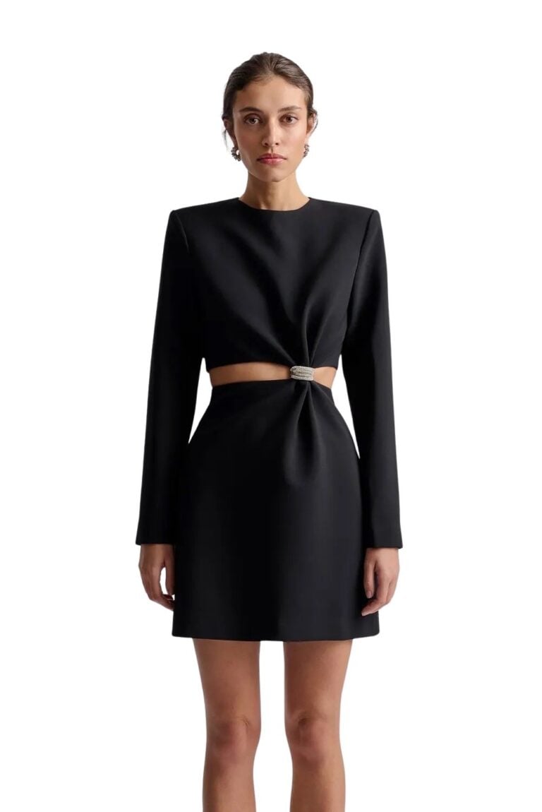 3102_ccea676ef3-sutton-embellished-detail-cut-out-mini-dress-black-malina-3