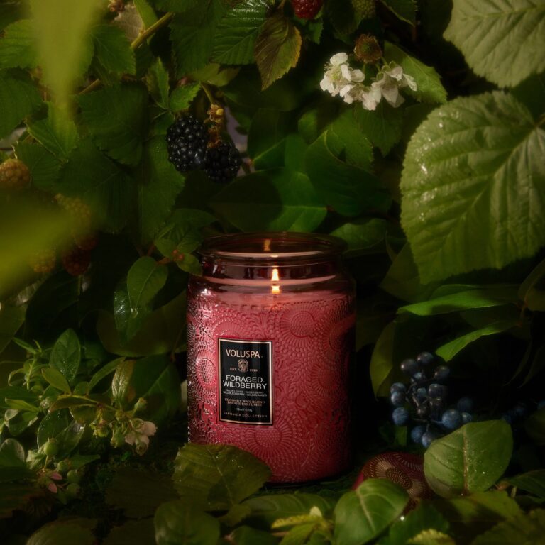 foragedwildberry_ing_largejar_72339_2024_01_a_web