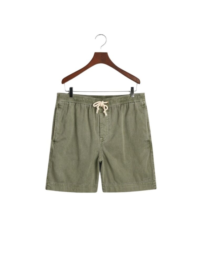 gant_205503-362