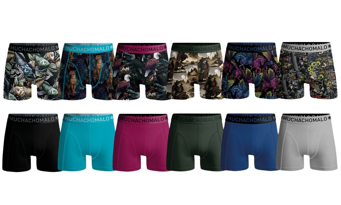 web_image_1010_12pk_boxer_print_solid_12_assorted__u-golden-12pk-updated1892097760_plid_682364 web_image_1010_12pk_boxer_print_solid_12_assorted__u-golden-12pk-updated1892097760_plid_682364