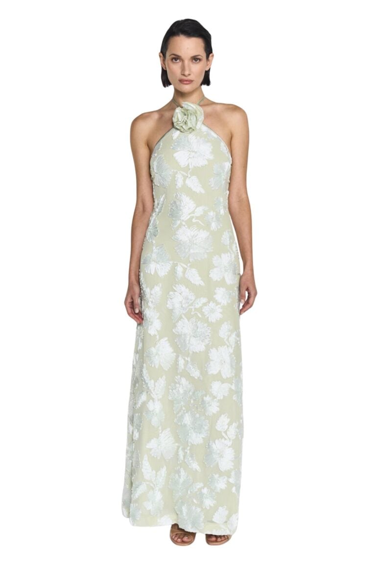 241218_tt_2_8922_rose_dress_pale_green8885