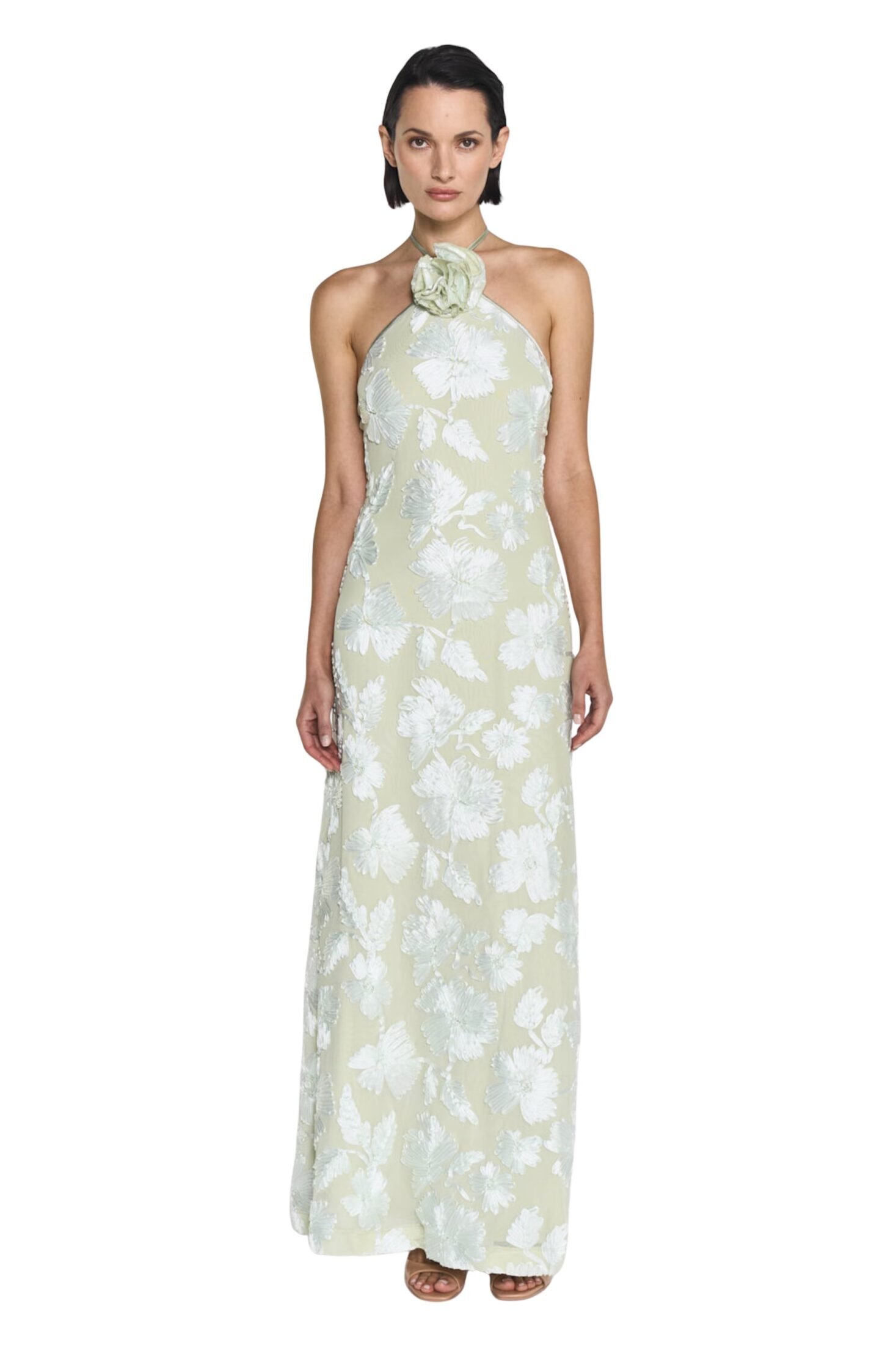 241218_tt_2_8922_rose_dress_pale_green8885