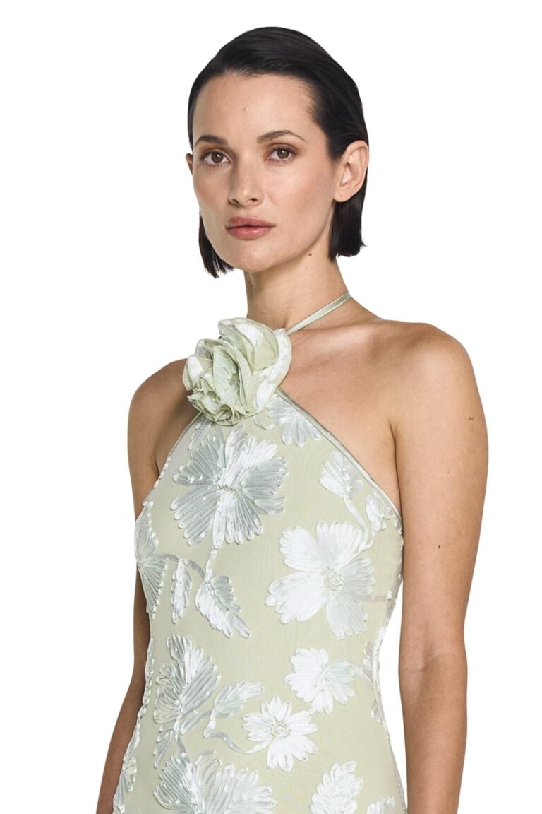 241218_tt_2_8922_rose_dress_pale_green8890
