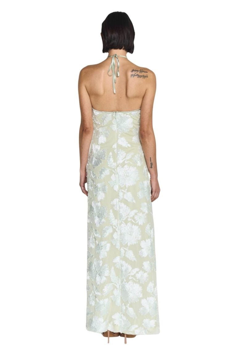 241218_tt_2_8922_rose_dress_pale_green8897