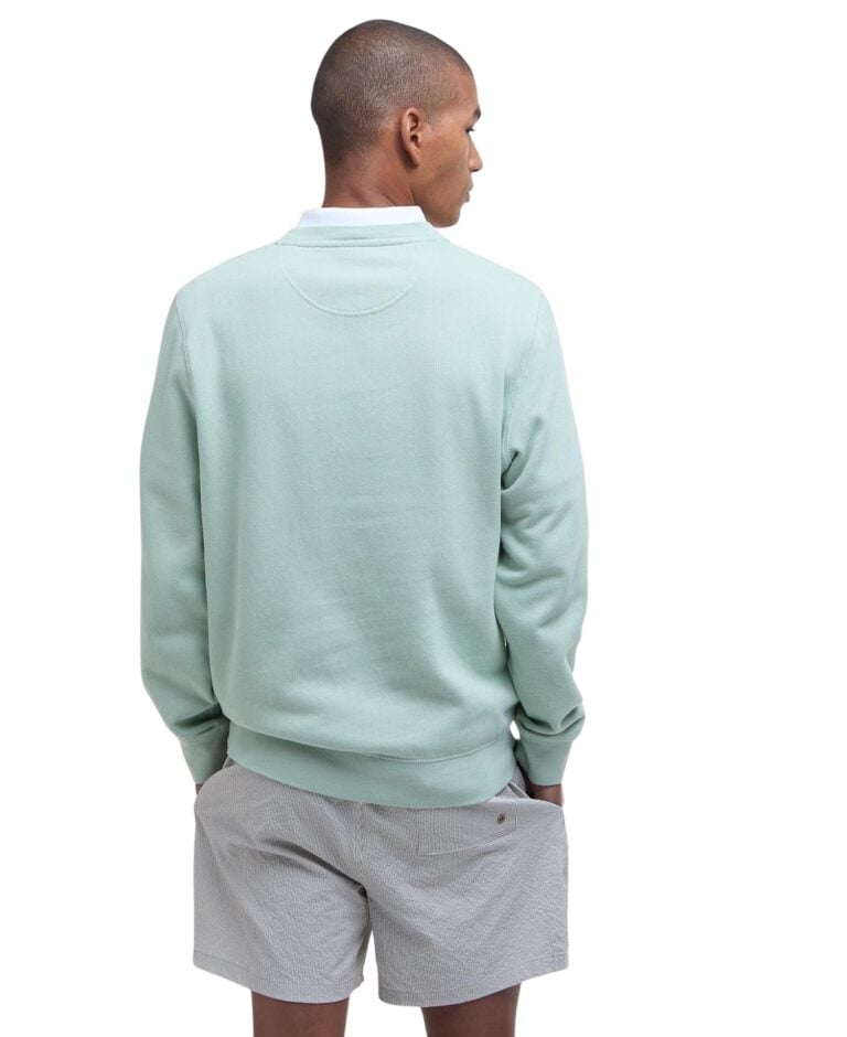 mol0101gn12_ss25_back_3