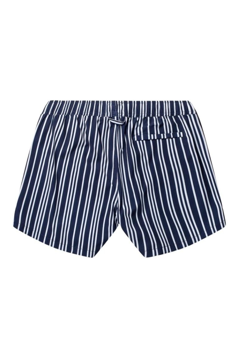 pems2503-291_back-1
