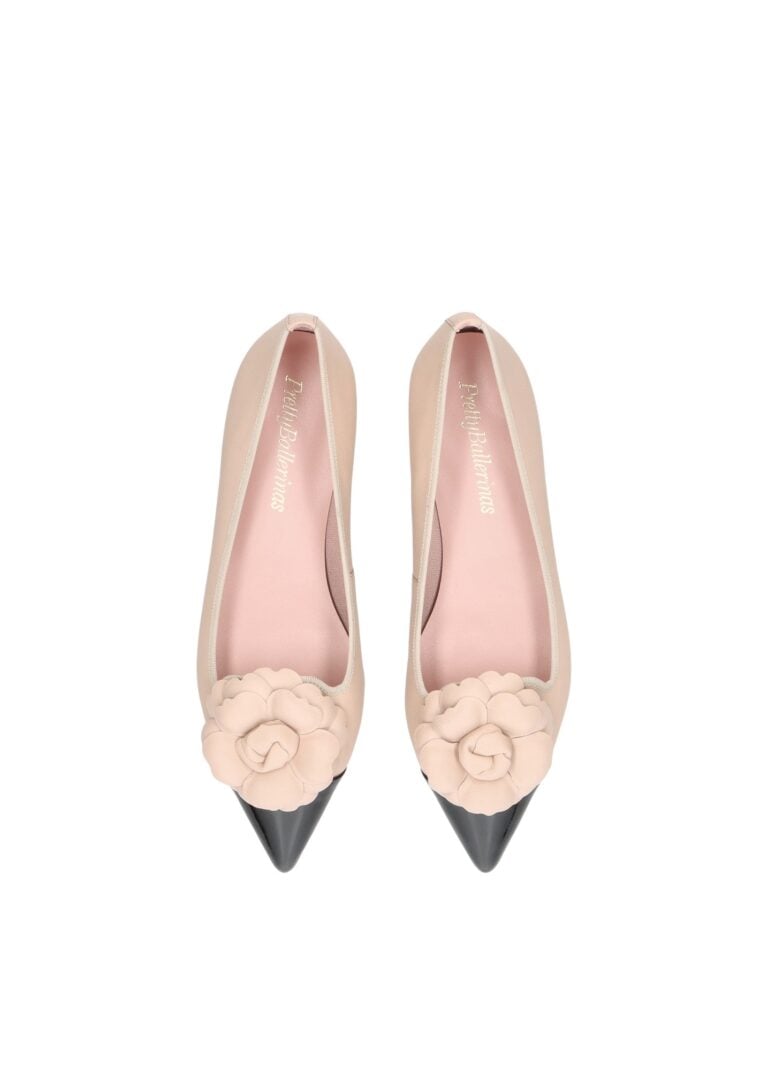pretty-ballerinas-clementine1