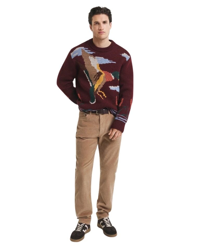 0075432_regular-fit-kordfloyelsjeans