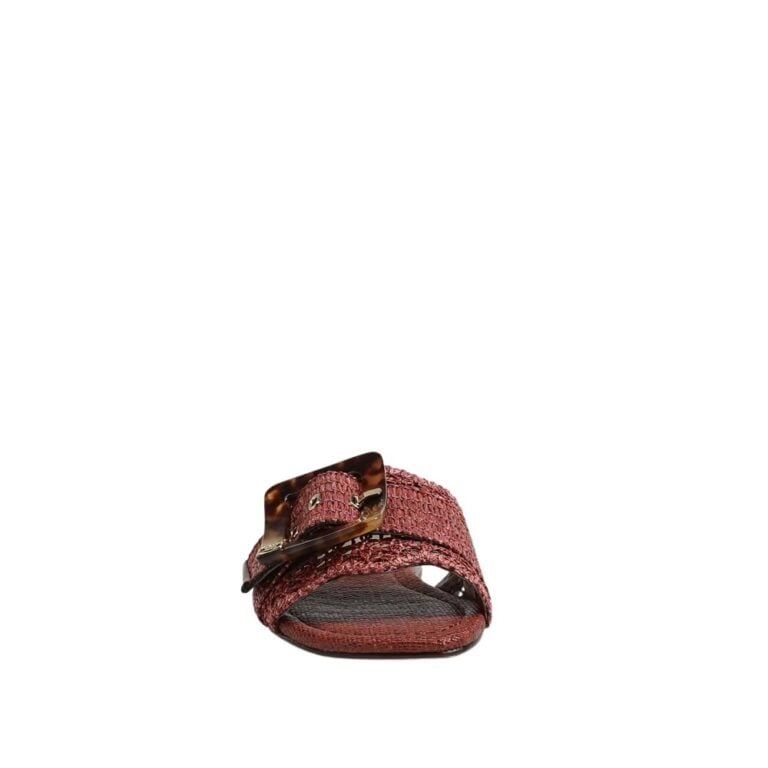 ec0203306_front_feed1000