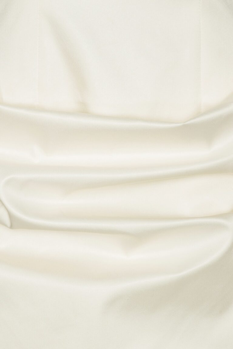 114204857_egret_3_bustierminidress_lr