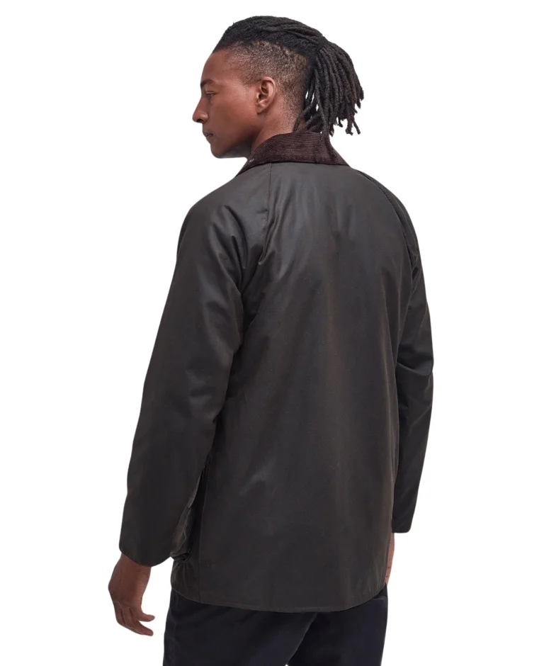 mwx0002ol71_aw23main_back_1