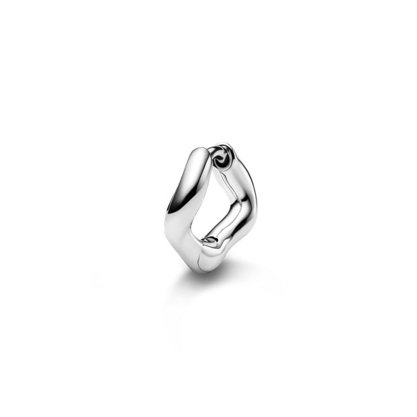 4321_f5a1907c7c-anil_huggie_6_silver