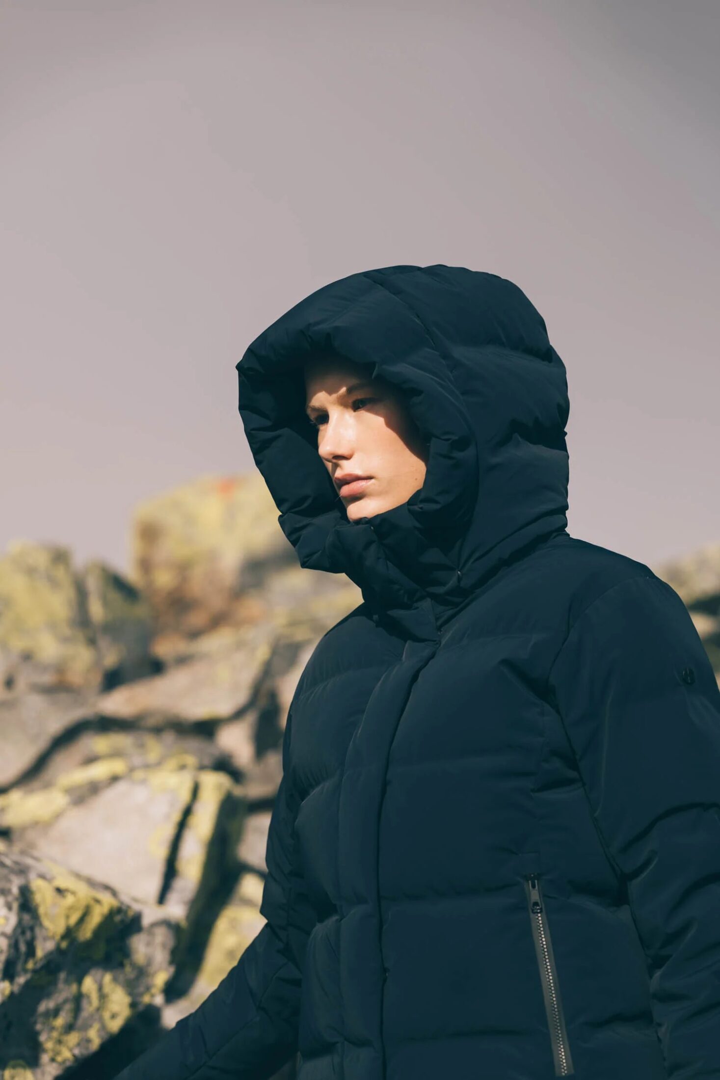 scandinavian_edition_echo_apex_navy-1 scandinavian_edition_echo_apex_navy-1