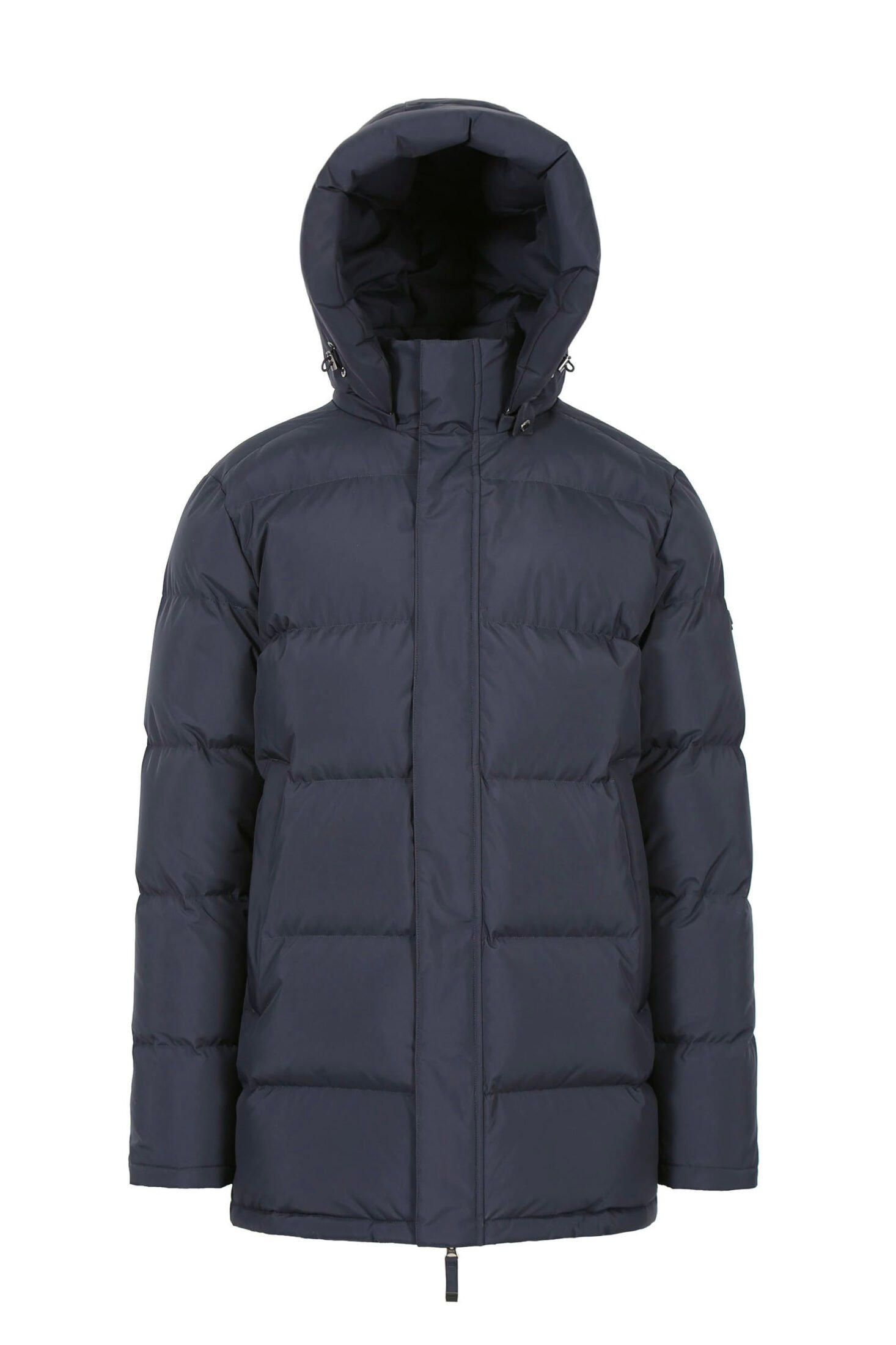 zenon-navy