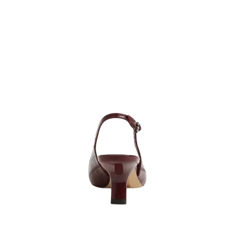 ec0208156_back_feed1000