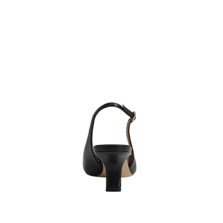 ec0238363_back_feed1000