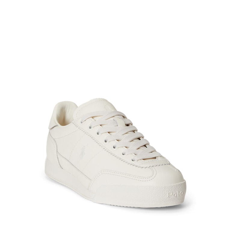 alternate1_ai804p04917001