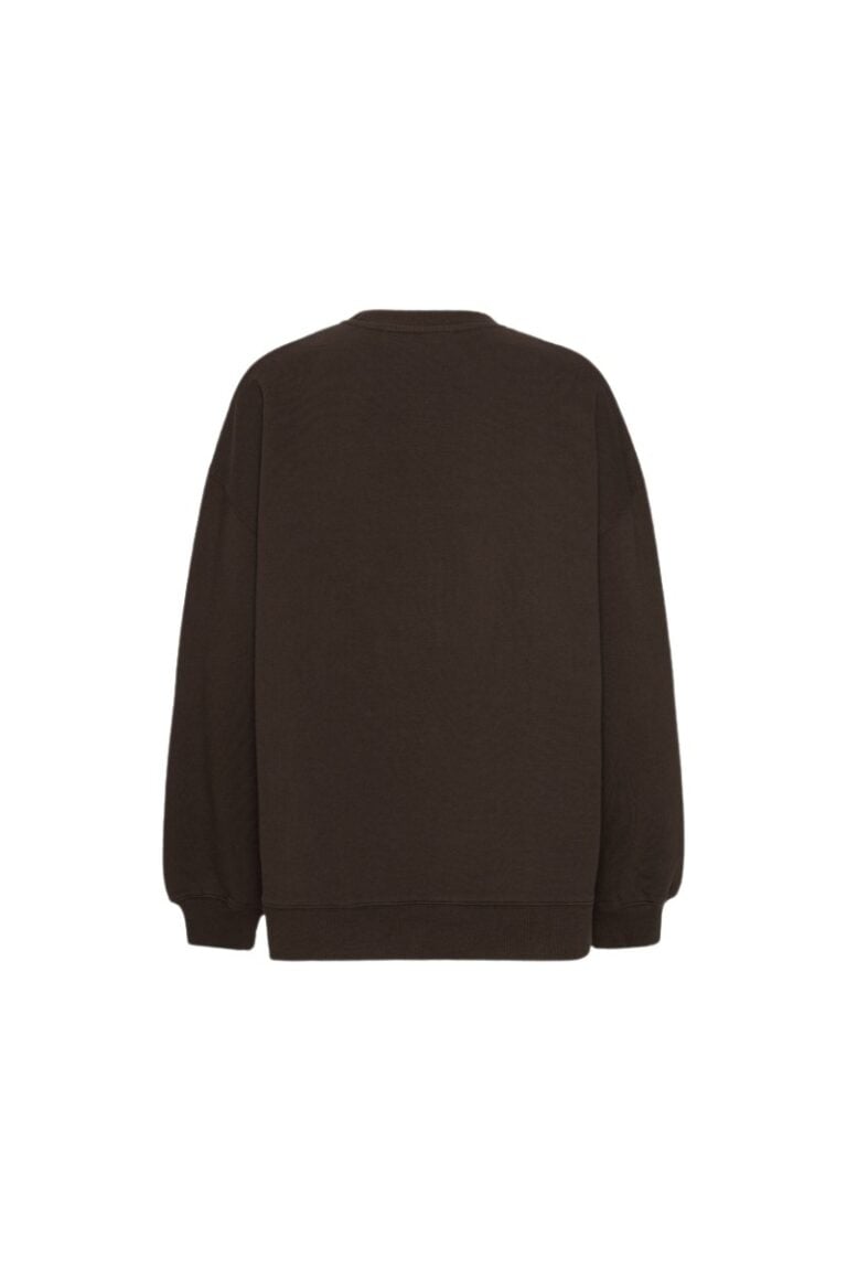 rotate_1153161667_mole__2_heavy-sweat-crewneck_lr