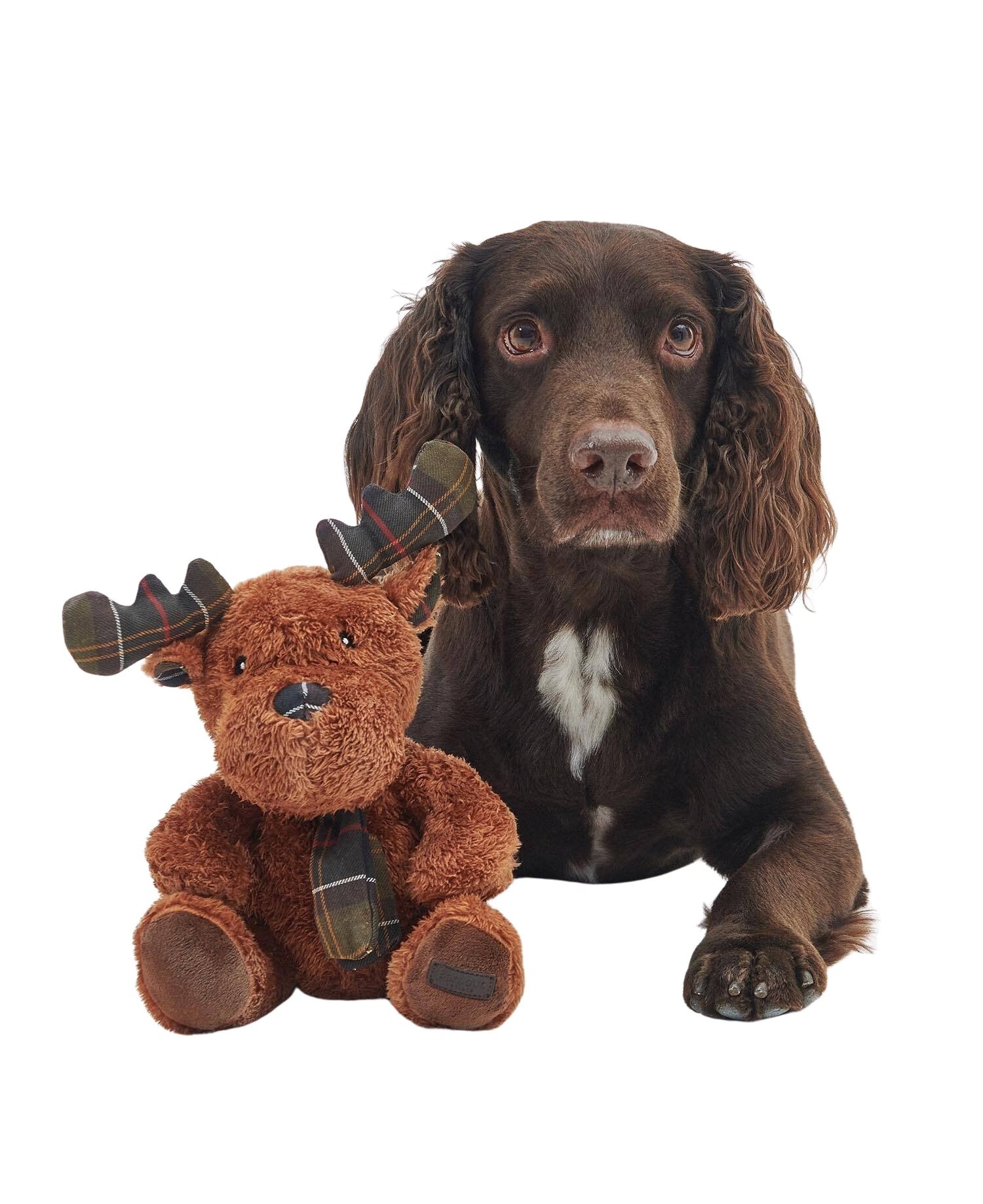 dac0094br11_01front dac0094br11_01front