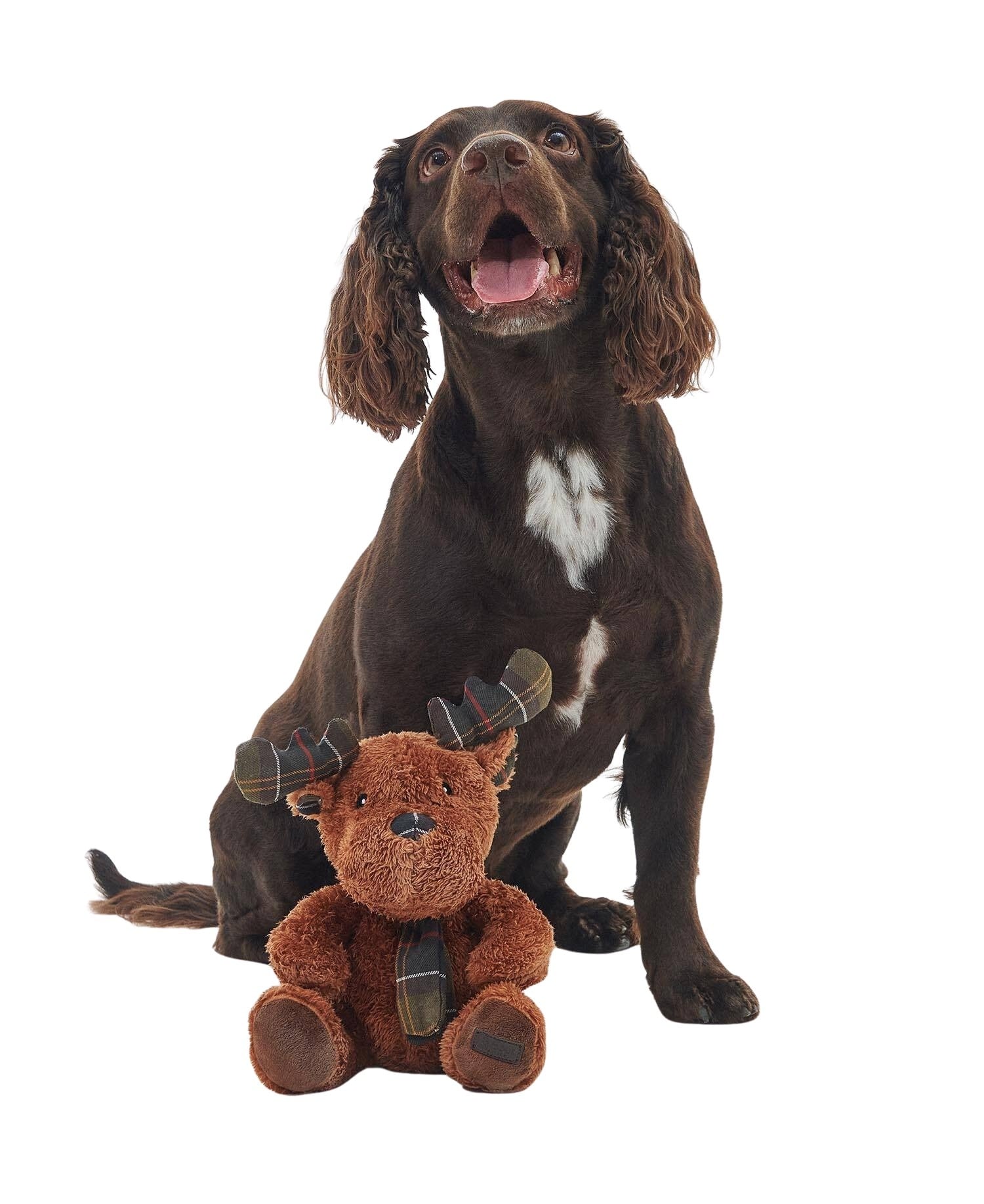 dac0094br11_03getthelook dac0094br11_03getthelook