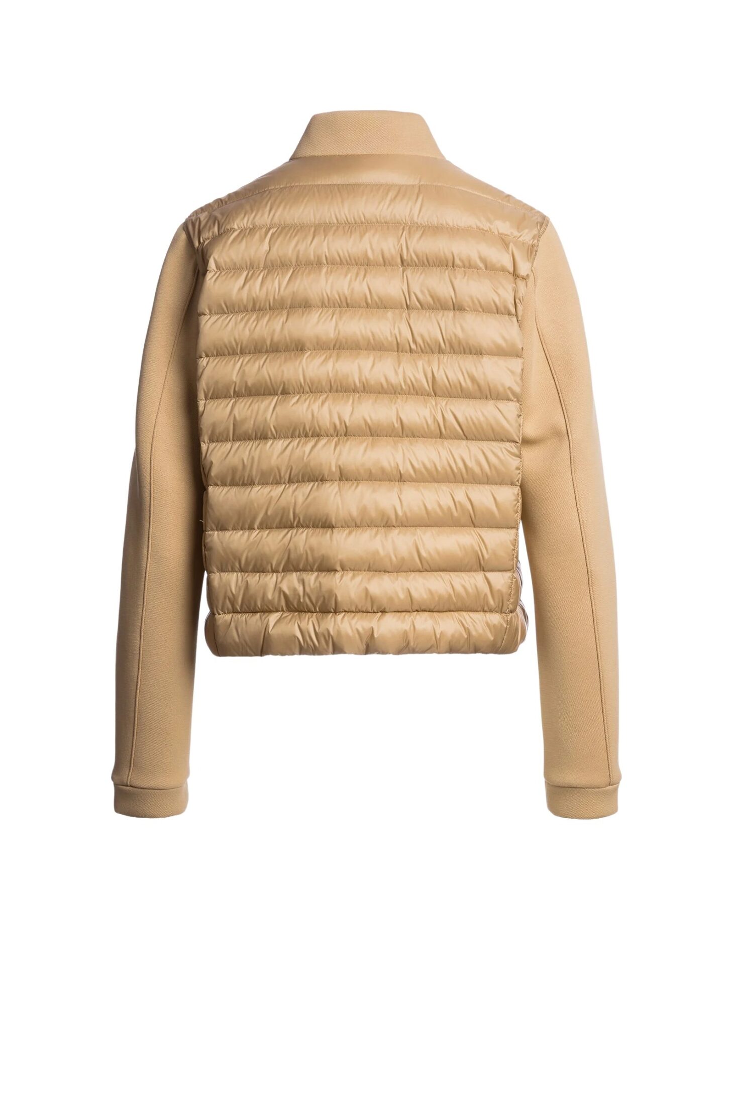 26smpwhywu33p54_0116_3 26smpwhywu33p54_0116_3-1